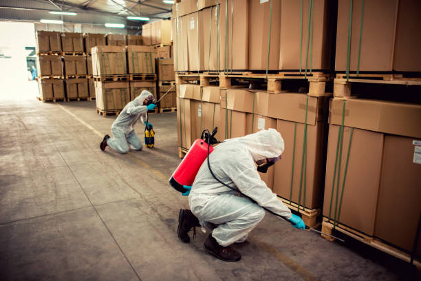 Best Affordable Pest Control Services  in Glendive, MT