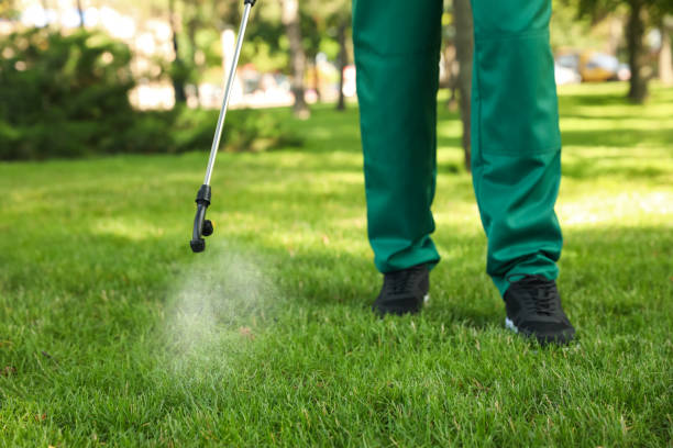 Best Best Pest Control Companies  in Glendive, MT