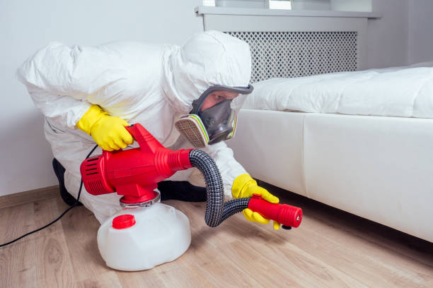 Best Wasp Removal Services  in Glendive, MT