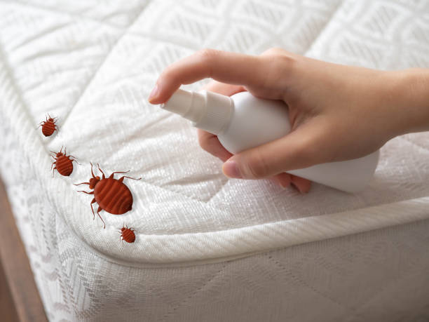 Best Best Pest Control Companies  in Glendive, MT