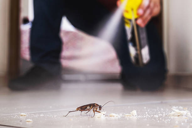 Best Insect Control  in Glendive, MT