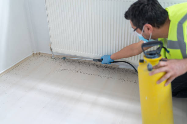 Best Affordable Pest Control Services  in Glendive, MT