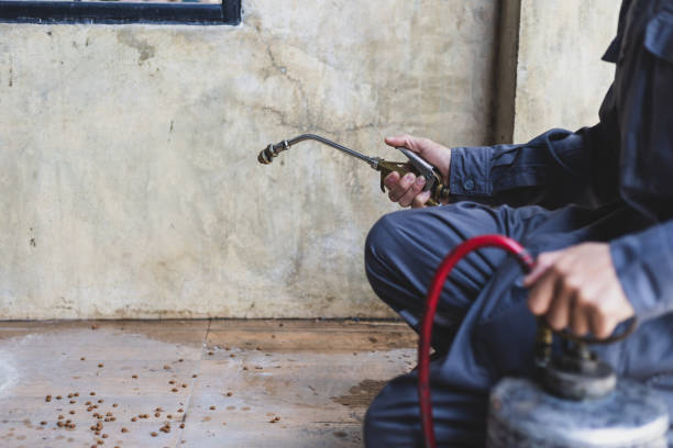 Best Best Pest Control Companies  in Glendive, MT