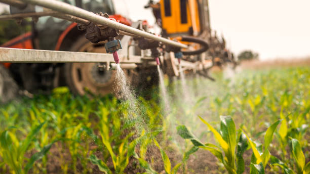 Best Wildlife Control Services  in Glendive, MT